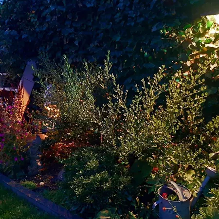 Tuinhuis Duinroos Deluxe Callantsoog