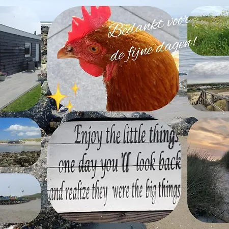 Tuinhuis Duinroos Deluxe Holiday home Callantsoog