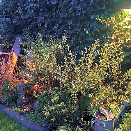 Vakantiehuis Tuinhuis Duinroos Deluxe